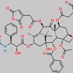 7,10-Di-cis-aconityl-Docetaxel CAS#: N/A