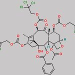 7,10,13-Tri-O-trichloroethoxycarbonyl-10-deacetyl Baccatin III CAS#: 110258-92-9