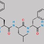 7(R)-Epi Carfilzomib (2S,4S)-Diol CAS#: N/A
