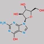 9-(b-D-Arabinofuranosyl)guanine CAS#: 38819-10-2