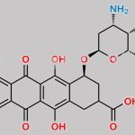 9-Carboxy Doxorubicin Impurity 2 CAS#: N/A