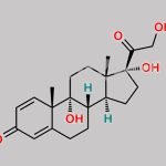 9-Hydroxy Prednisolone CAS#: N/A