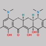 9-(N-Acetylamino)minocycline CAS#: 153621-85-3