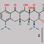 9-Nitro Minocycline sulfate salt CAS#: 153621-80-8
