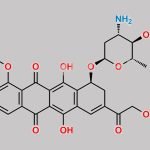 9,10-Dehydro Epirubicin CAS#: N/A