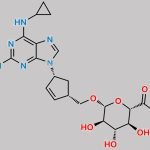 Abacavir-5'-Glucuronide CAS#: 384329-76-4