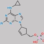Abacavir 5’-Phosphate CAS#: 136470-77-4