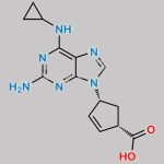 Abacavir Carboxylate CAS#: 384380-52-3