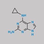 Cyclopropyldiaminopurine Abacavir (USP) CAS#: 120503-69-7
