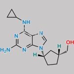Abacavir EP Impurity E CAS#: 208762-35-0