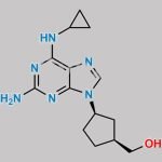Abacavir Impurity 12 CAS#: N/A
