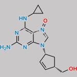 Abacavir N-Oxide CAS#: 1443421-70-2