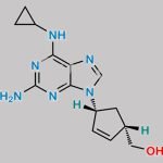 Abacavir Sulfate CAS#: 188062-50-2