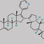 Abiraterone Acetate Dimer CAS#: 186826-68-6