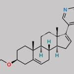 Abiraterone Ethyl Ether (USP) CAS#: 2484719-14-2