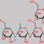 Acarbose EP Impurity C CAS#: 610271-07-3
