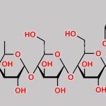 Acarbose EP Impurity E CAS#: N/A
