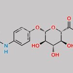 Acetaminophen Glucuronide CAS#: 16110-10-4