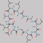 Acetyl-Cyclosporin A Aldehyde CAS#: 121584-52-9