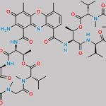 Actinomycin C2 CAS#: 2612-14-8