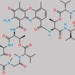 Actinomycin X2 CAS#: 18865-48-0
