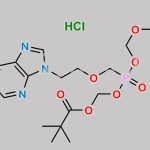 Adefovir Dipivoxil Hydrochloride CAS#: 220350-68-5