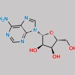 Adenosine CAS#: 58-61-7