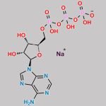 Adenosine 5′-(tetrahydrogen triphosphate), sodium salt CAS#: 4691-96-7