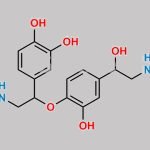 Adrenalin Impurity 2 CAS#: N/A