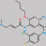 Afatinib Butoxy Analog CAS#: N/A