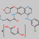 Afatinib Dimaleate CAS#: 850140-73-7