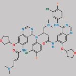 Afatinib Impurity 10 CAS#: N/A