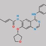 Afatinib Impurity 12 CAS#: 2121530-37-6