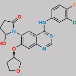 Afatinib Impurity 13 CAS#: 2413212-19-6