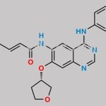 Afatinib Impurity 18 CAS#: 2413212-25-4