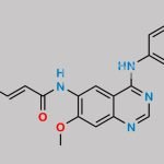 Afatinib Impurity 19 CAS#: 1245555-42-3