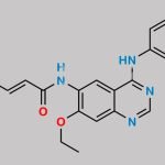 Afatinib Impurity 20 CAS#: 2085843-51-0