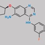 Afatinib Impurity 21 CAS#: 2044709-72-8