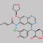 Afatinib Impurity 22 CAS#: N/A