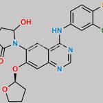 Afatinib Impurity 28 CAS#: N/A