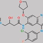 Afatinib Impurity 32 CAS#: 2323570-72-3