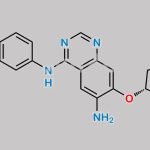 Afatinib Impurity 36 CAS#: 2044709-79-5