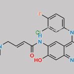 Afatinib Impurity 37 CAS#: 2223677-61-8