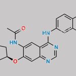 Afatinib Impurity 40 CAS#: N/A