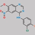 Afatinib Impurity 5 CAS#: 179552-74-0