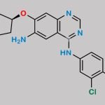 Afatinib Impurity B CAS#: 314771-76-1