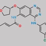Afatinib Impurity C CAS#: 945553-91-3