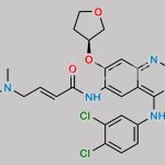 Afatinib Impurity E CAS#: 2223677-63-0