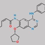 Afatinib Impurity G CAS#: N/A