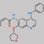 Afatinib Impurity I CAS#: N/A